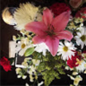 Meet your Posher, Yolanda